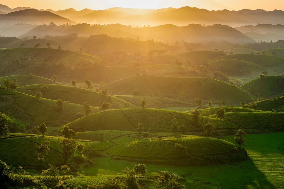 Golden Hour Landscapes Collection